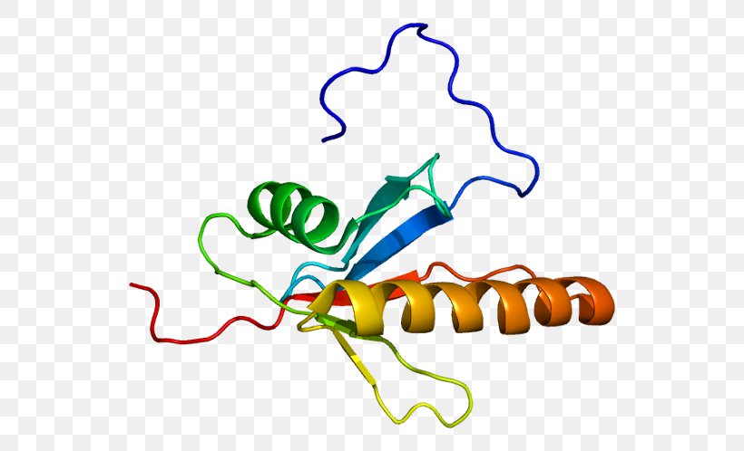 MAP2K5 Protein MAP3K2 Kinase SH2D2A, PNG, 586x498px, Protein, Area, Artwork, Beak, Gene Download Free
