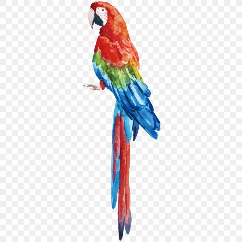 Parrot Bird Vector Graphics Stock Photography Royalty-free, PNG, 1600x1600px, Parrot, Art, Beak, Bird, Budgie Download Free