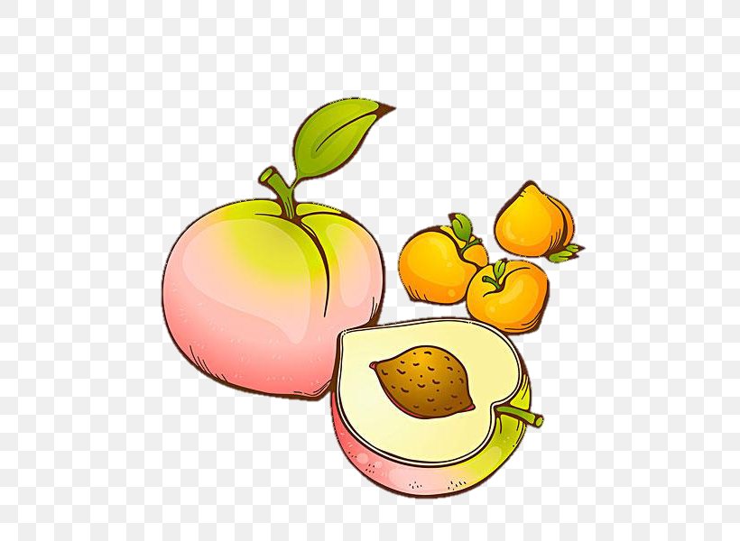 Peach Fruit Drawing, PNG, 600x600px, Peach, Apple, Auglis, Citrus, Diet Food Download Free