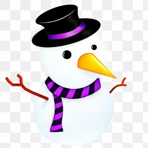 Costume Hat Flightless Bird - Snowman PNG