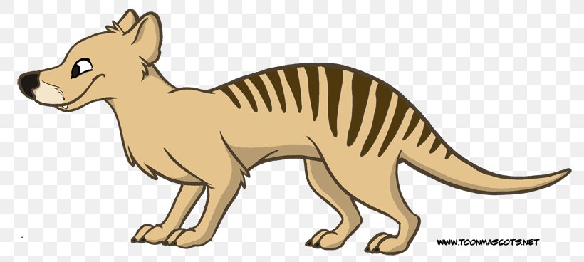 Tiger Thylacine Whiskers Gray Wolf Mowgli, PNG, 800x368px, Tiger, Animal Figure, Animated Film, Art, Artwork Download Free