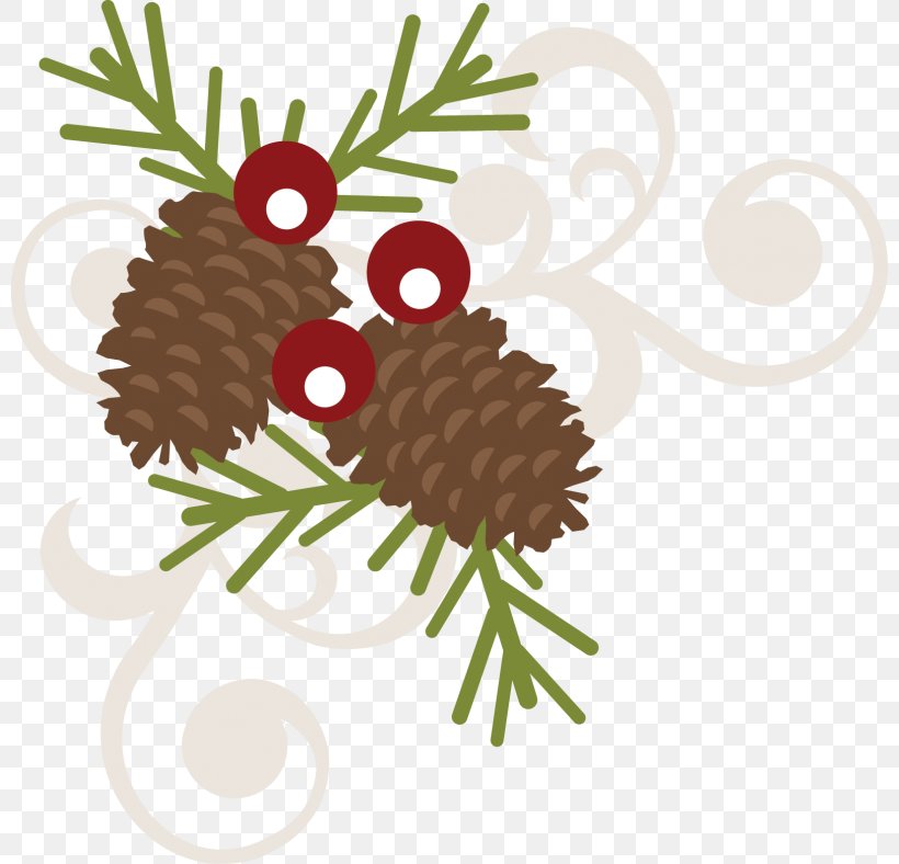 Christmas Ornament Conifer Cone Clip Art, PNG, 800x788px, Christmas, Autocad Dxf, Branch, Christmas Decoration, Christmas Ornament Download Free