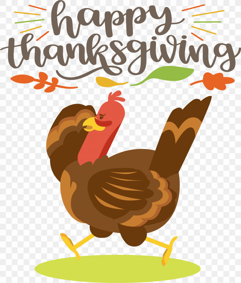 Happy Thanksgiving Turkey, PNG, 2055x2410px, Happy Thanksgiving, Beak, Chicken, Landfowl, Livestock Download Free