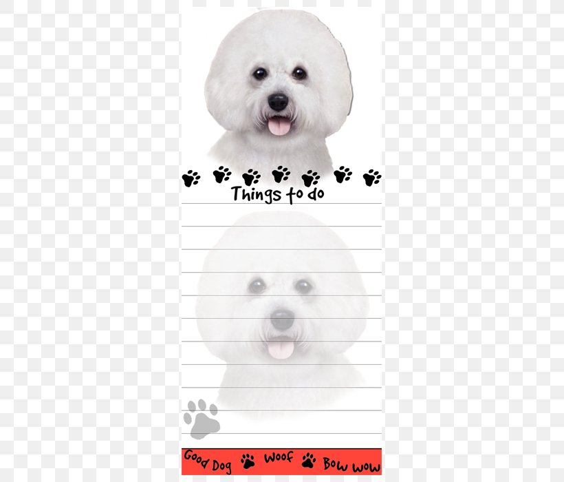 Maltese Dog Bichon Frise Border Collie Puppy Siberian Husky, PNG, 400x700px, Maltese Dog, Bichon, Bichon Frise, Border Collie, Carnivoran Download Free