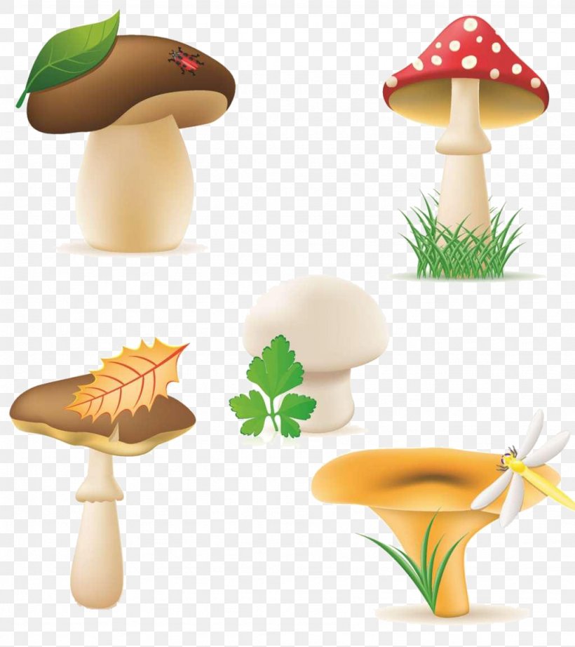 Royalty-free Edible Mushroom Clip Art, PNG, 1024x1152px, Royaltyfree, Boletus Edulis, Chanterelle, Common Mushroom, Edible Mushroom Download Free