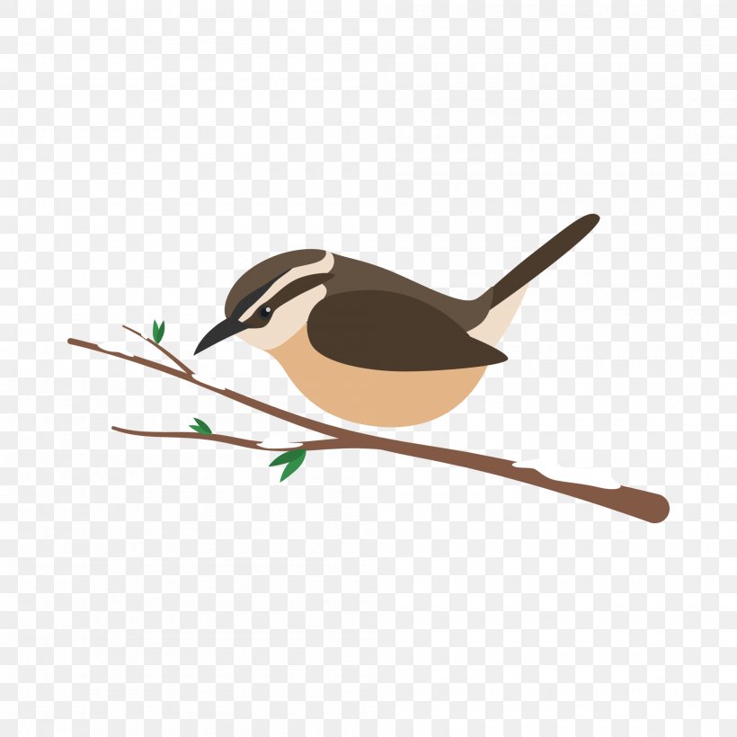 Vector Graphics Illustration Image Cartoon, PNG, 2000x2000px, Cartoon, Beak, Bird, Branch, Gratis Download Free