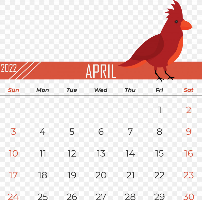 Birds Beak Calendar Line Font, PNG, 3785x3762px, Birds, Beak, Biology, Calendar, Geometry Download Free