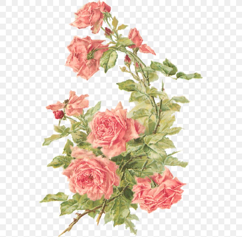 Cut Flowers Rose Floral Design Clip Art, PNG, 555x803px, Flower, Artificial Flower, Color, Cut Flowers, Drawing Download Free