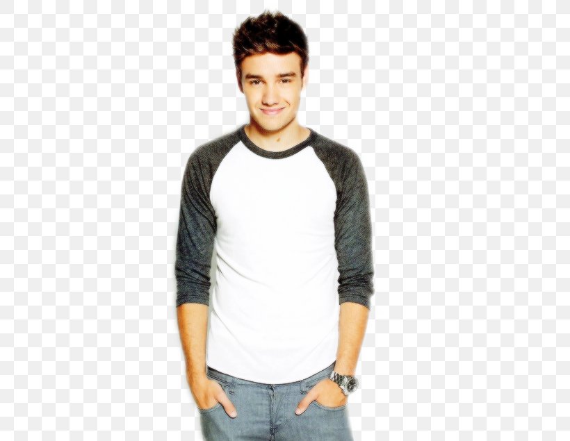 Liam Payne Musician DeviantArt, PNG, 500x635px, Watercolor, Cartoon, Flower, Frame, Heart Download Free