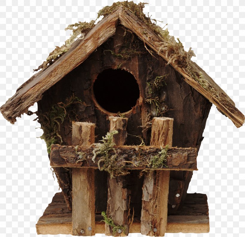 Bird Feeders House Nest Box Igloo, PNG, 1952x1887px, Bird, Backyard, Bird Feeders, Bird Nest, Birdhouse Download Free