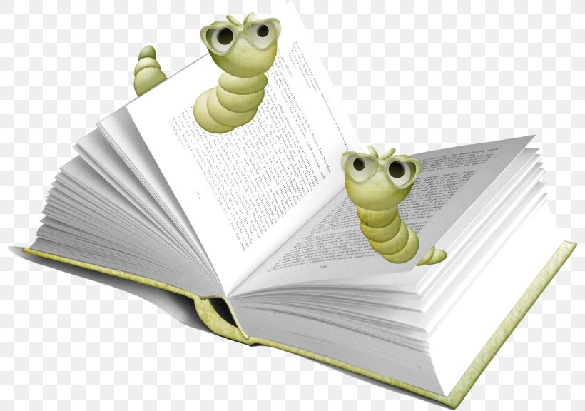 Bookworm Bibliophilia, PNG, 800x576px, Book, Amphibian, Bibliophilia, Bookworm, Computer Graphics Download Free