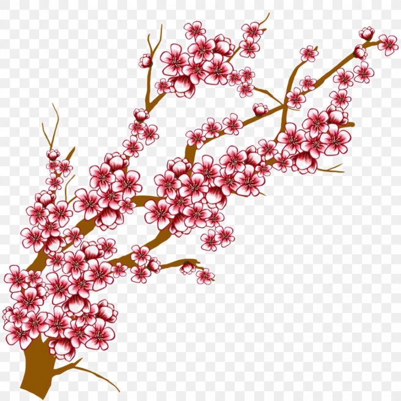 Cherry Blossom Tree Drawing, PNG, 894x894px, Cherry Blossom, Blossom, Branch, Cherries, Cut Flowers Download Free