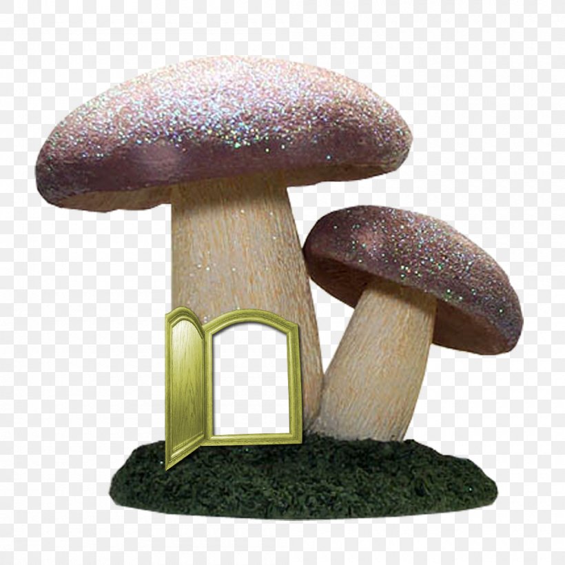 Edible Mushroom, PNG, 1000x1000px, Edible Mushroom, Architecture, Designer, Fairy, House Download Free