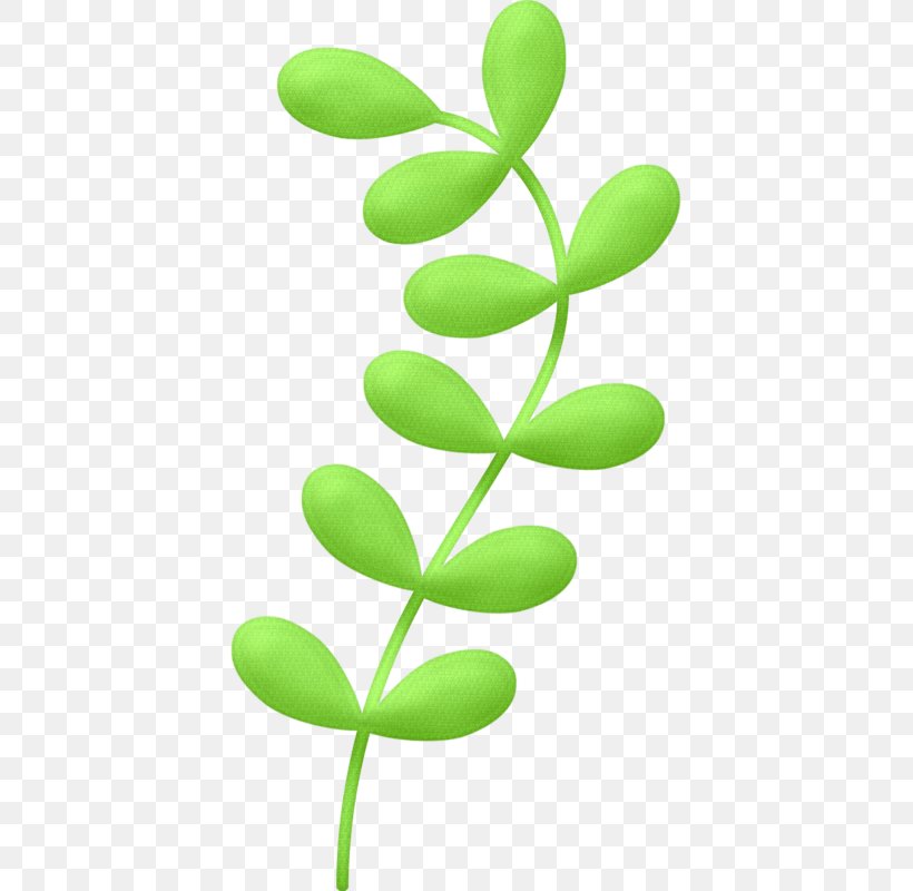 Clip Art Image Drawing Animation, PNG, 405x800px, Drawing, Algae, Animation, Botany, Cartoon Download Free