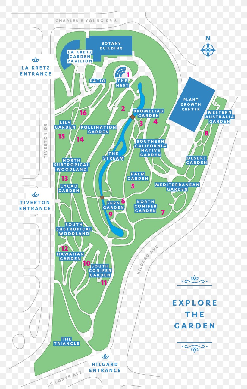 UCLA Mildred E. Mathias Botanical Garden Busch Gardens Williamsburg Map, PNG, 762x1292px, Busch Gardens Williamsburg, Area, Botanical Garden, Botany, Busch Gardens Download Free