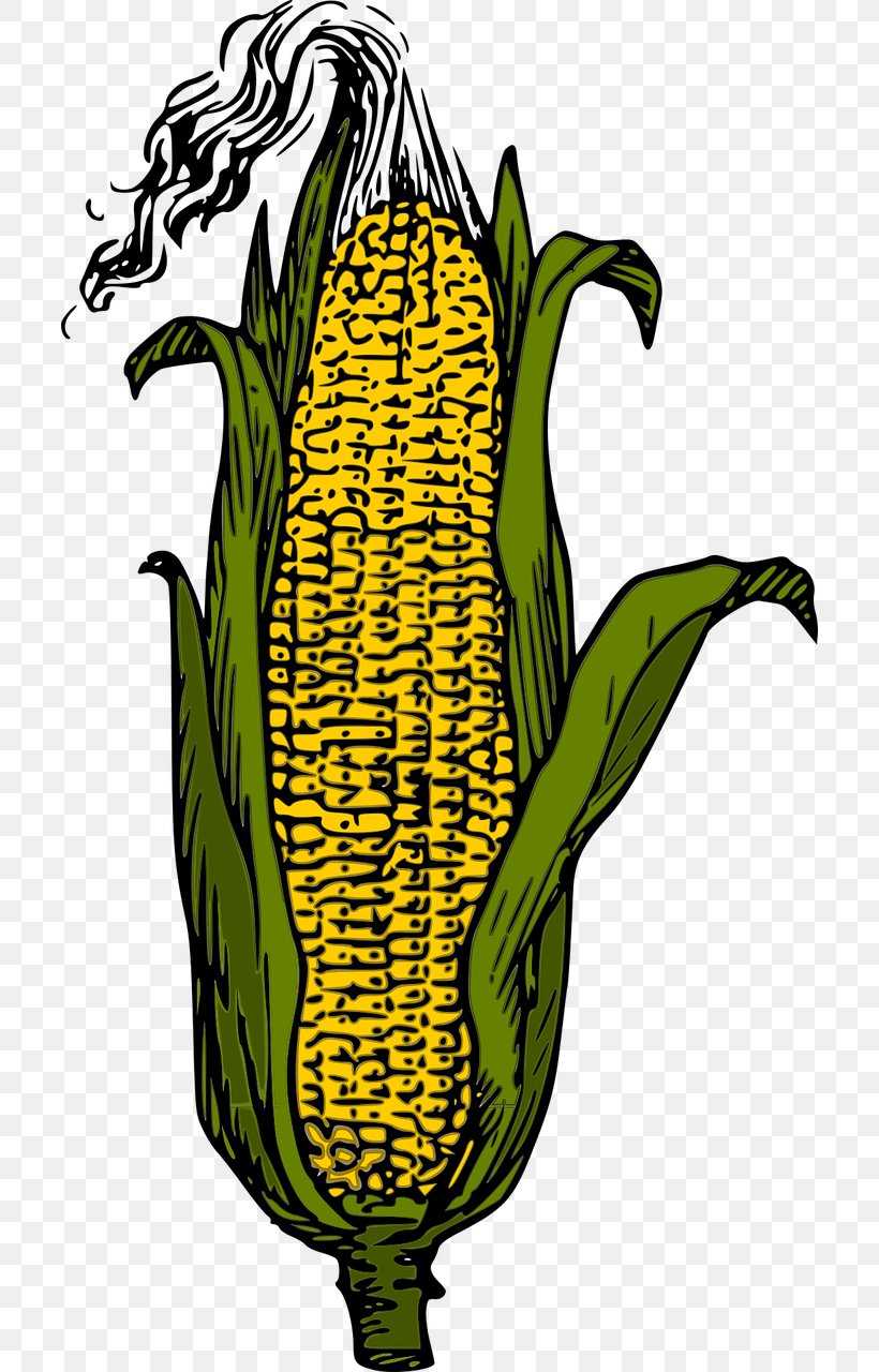 Candy Corn Corn On The Cob Vector Graphics Clip Art, PNG, 706x1280px, Candy Corn, Commodity, Corn, Corn On The Cob, Corncob Download Free