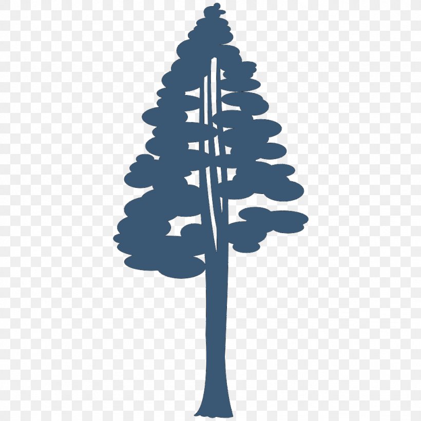 Coast Redwood Giant Sequoia Drawing Silhouette Clip Art, PNG, 1024x1024px, Coast Redwood, Conifer, Drawing, Giant Sequoia, Leaf Download Free