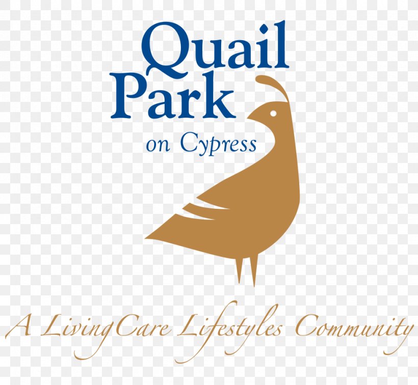 Quail Park On Cypress Logo Quail Park Memory Care Residences Of Visalia Quail Park At Shannon Ranch Quail Park Of Oro Valley, PNG, 975x900px, Logo, Beak, Bird, Brand, California Download Free