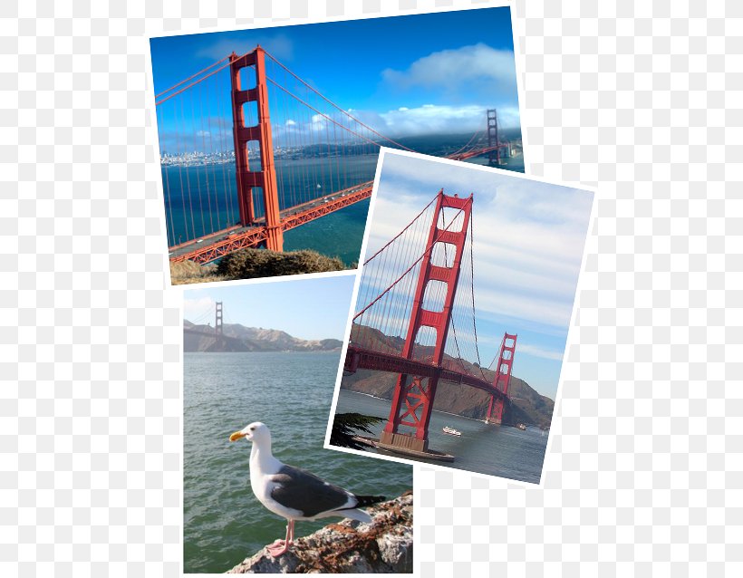 San Francisco Advertising Picture Frames Collage Leisure, PNG, 504x638px, San Francisco, Advertising, City, Collage, Heat Download Free
