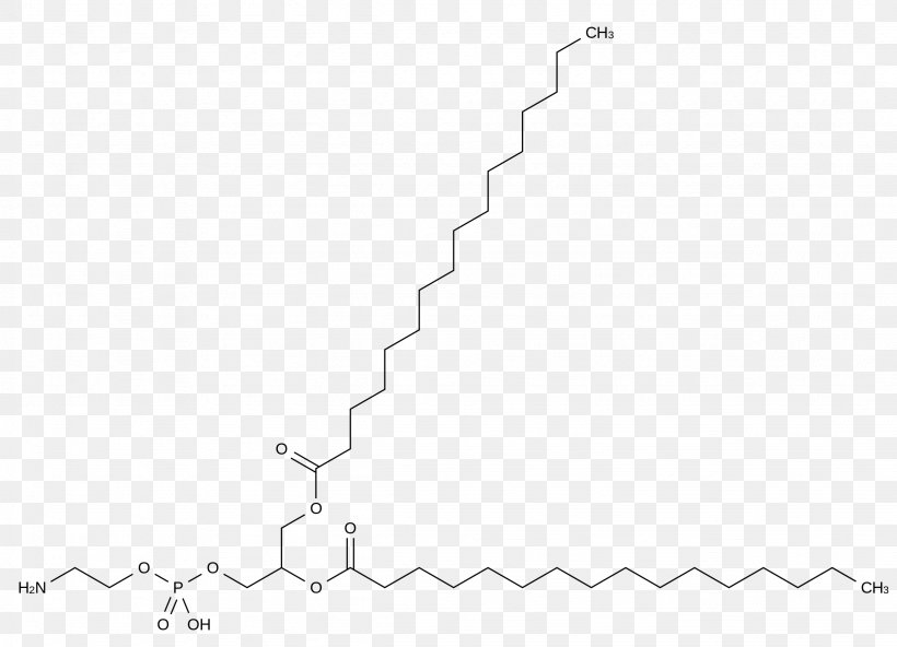 Dipalmitoylphosphatidylcholine Pulmonary Surfactant Phospholipid, PNG, 2257x1632px, Surfactant, Area, Black, Black And White, Diagram Download Free