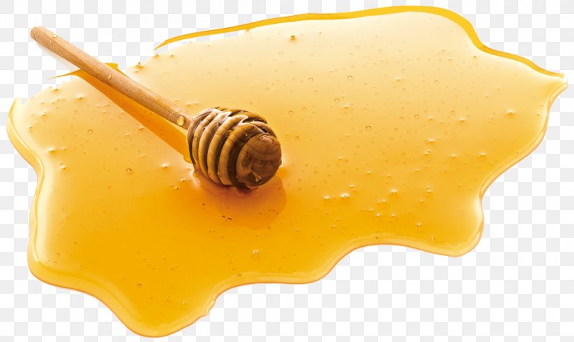 Honey Clip Art, PNG, 1005x600px, Honey, Candy, Food, Honey Bee, Ingredient Download Free