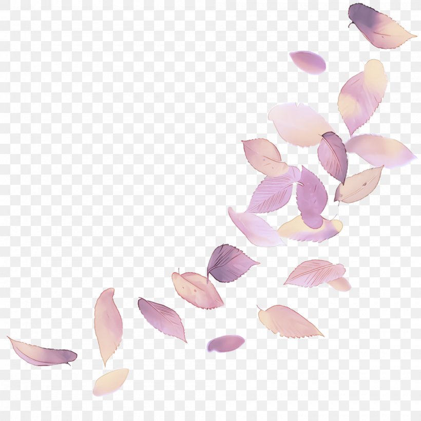 Lilac Pink Petal Violet Plant, PNG, 2000x2000px, Lilac, Flower, Petal, Pink, Plant Download Free