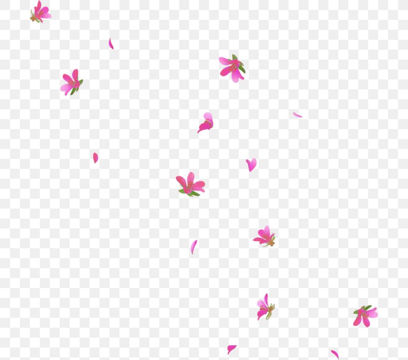 Pink Petal Text Magenta Pedicel, PNG, 700x725px, Pink, Flower, Magenta, Pedicel, Petal Download Free