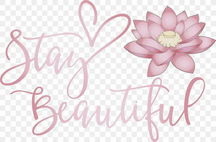 Stay Beautiful Fashion, PNG, 3000x1974px, Stay Beautiful, Cricut, Fashion Download Free