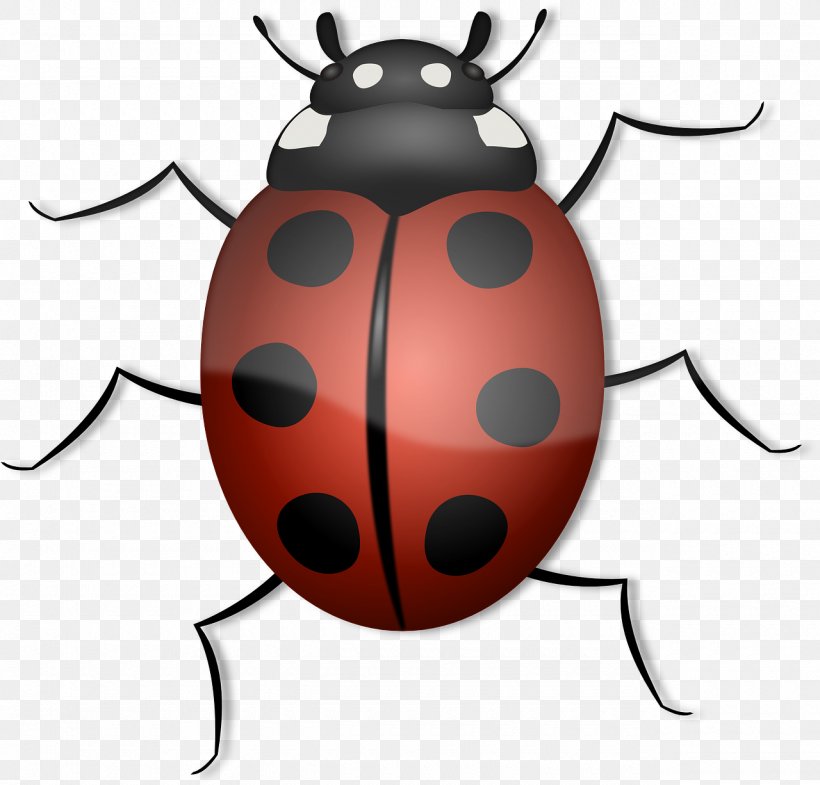 Beetle Ladybird Clip Art, PNG, 1280x1226px, Beetle, Arthropod, Blog, Insect, Invertebrate Download Free