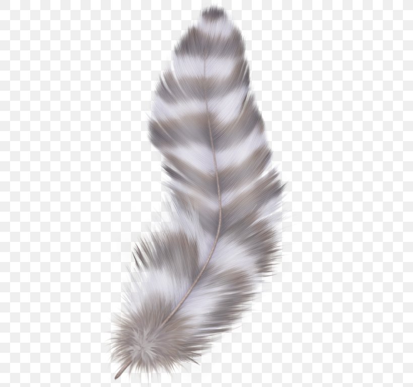 Bird Cartoon, PNG, 414x768px, Feather, Bird, Down Feather, Drawing, Ear Download Free