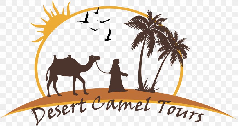 Camel Merzouga Fes Casablanca Clip Art, PNG, 2620x1393px, Camel, Area, Artwork, Brand, Camel Like Mammal Download Free
