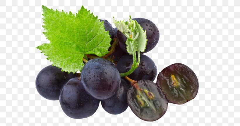 Common Grape Vine Grape Seed Oil Organic Food, PNG, 600x429px, Common Grape Vine, Bilberry, Blueberry, Damson, Extract Download Free