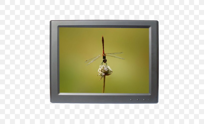 Computer Monitors Display Resolution Contrast Inch Touchscreen, PNG, 500x500px, Computer Monitors, Contrast, Display Resolution, Inch, Insect Download Free
