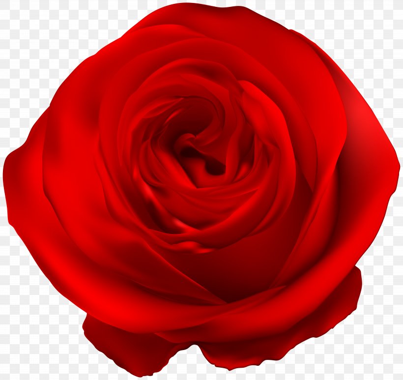 Garden Roses Blue Rose Clip Art, PNG, 8000x7550px, Rose, Azure, Blue Rose, Close Up, Color Download Free