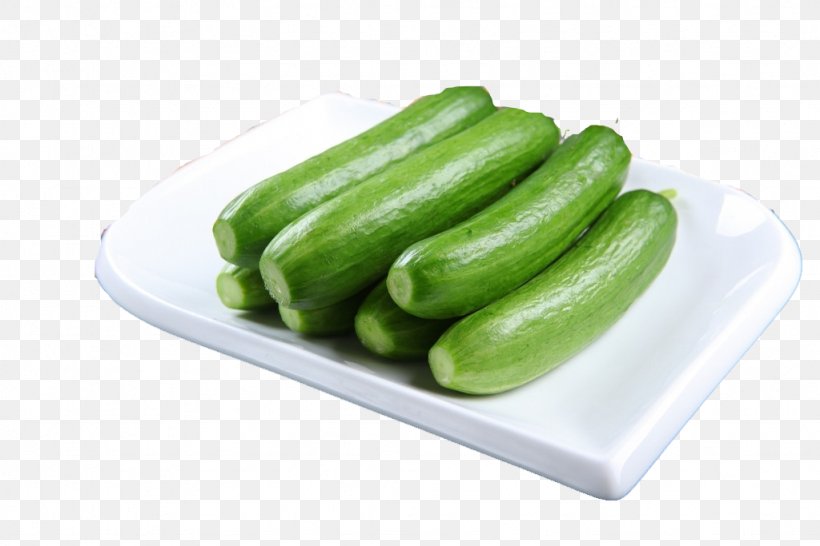 Pickled Cucumber Zakuski Milk Zucchini, PNG, 1024x683px, Cucumber, Cucumber Gourd And Melon Family, Cucumis, Food, Gourd Order Download Free