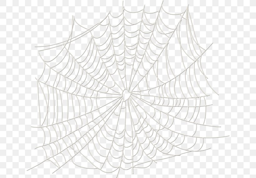 Twig Spider Symmetry White Pattern, PNG, 650x571px, Twig, Area, Black And White, Branch, Drawing Download Free