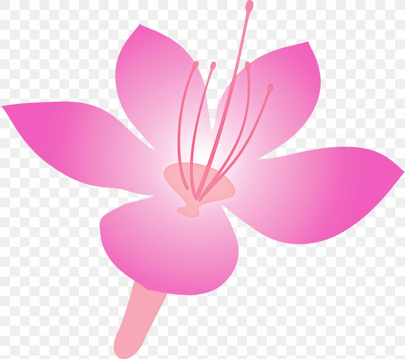Azalea Spring Flower Azalea Flower, PNG, 3000x2663px, Azalea, Azalea Flower, Flower, Herbaceous Plant, Magenta Download Free