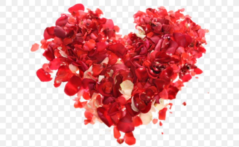 Dia Dos Namorados Love Valentine's Day Flower Bouquet Camila, PNG, 617x503px, Dia Dos Namorados, Camila, Dating, February, Flower Download Free