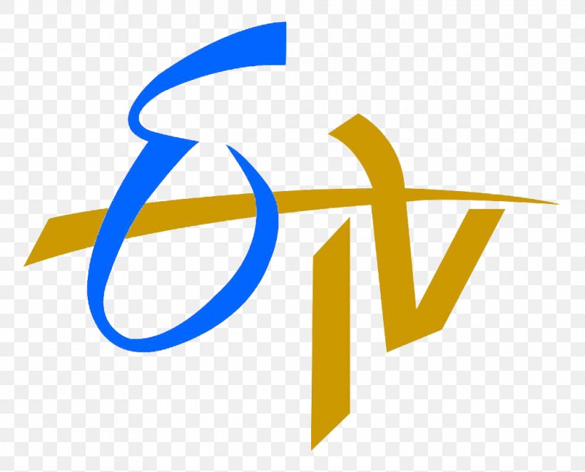 ETV Network Live Television E TV Colors Gujarati, PNG, 1040x840px, Etv Network, Area, Brand, Colors Gujarati, Colors Marathi Download Free