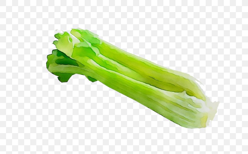 Greens Choy Sum Plant Stem Celery Plants, PNG, 676x509px, Greens, Celery, Celtuce, Choy Sum, Cruciferous Vegetables Download Free