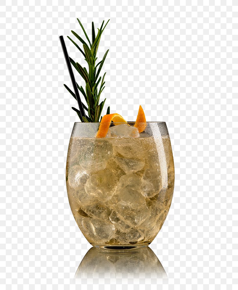 Ginger Ale Cocktail Vermouth Ingredient, PNG, 600x1000px, Gin, Beefeater Gin, Cocktail, Flowerpot, Ginger Ale Download Free