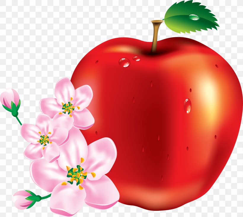 Apple Download Clip Art, PNG, 3469x3111px, Apple, Diet Food, Food, Fruit, Natural Foods Download Free