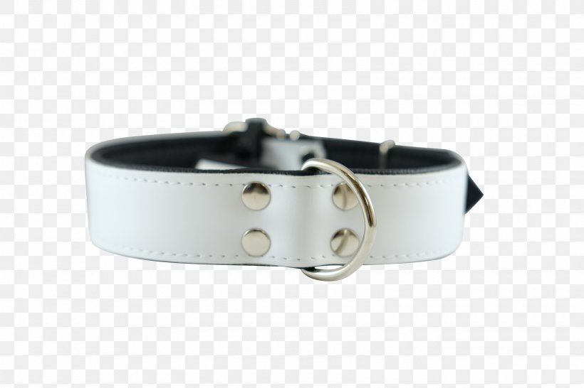 Dog Collar Belt Buckles, PNG, 1600x1067px, Dog, Belt, Belt Buckle, Belt Buckles, Buckle Download Free