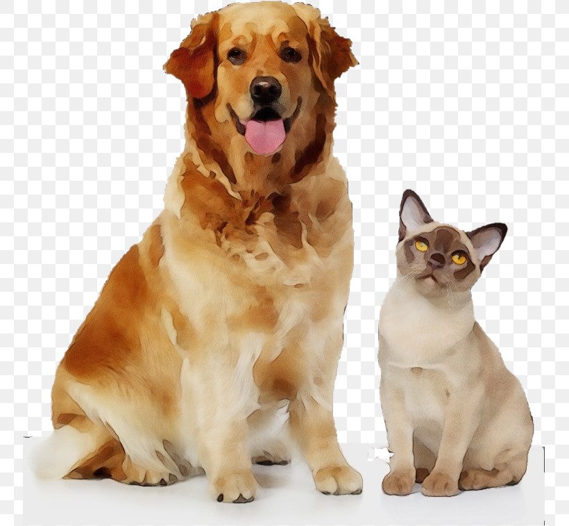 Dog Golden Retriever Companion Dog Cat Sporting Group, PNG, 753x757px, Watercolor, Cat, Companion Dog, Dog, Golden Retriever Download Free