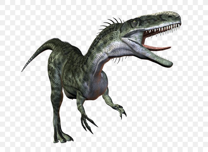 Tyrannosaurus Velociraptor PhotoScape GIMP, PNG, 800x600px, Tyrannosaurus, Animal, Dinosaur, Extinction, Fauna Download Free