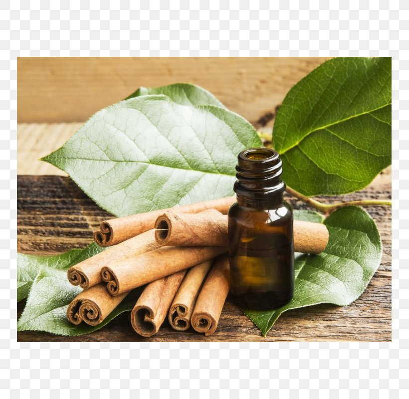Distillation Cinnamon Leaf Oil Essential Oil, PNG, 800x800px, Distillation, Aroma Compound, Aromatherapy, Carrot Seed Oil, Cinnamomum Verum Download Free