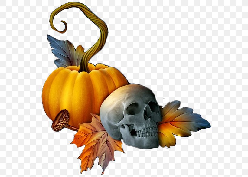 Jack-o'-lantern Halloween Pumpkin Calavera Winter Squash, PNG, 594x585px, 2013, Halloween, Bone, Calabaza, Calavera Download Free