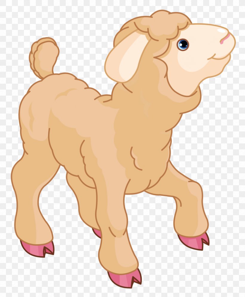 Sheep Lamb And Mutton Clip Art, PNG, 830x1007px, Watercolor, Cartoon, Flower, Frame, Heart Download Free