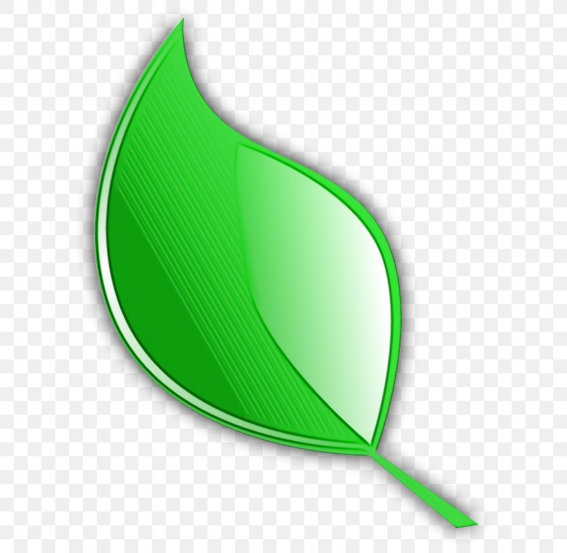 Leaf Green Logo Plant Clip Art, PNG, 800x800px, Watercolor, Green, Leaf, Logo, Paint Download Free