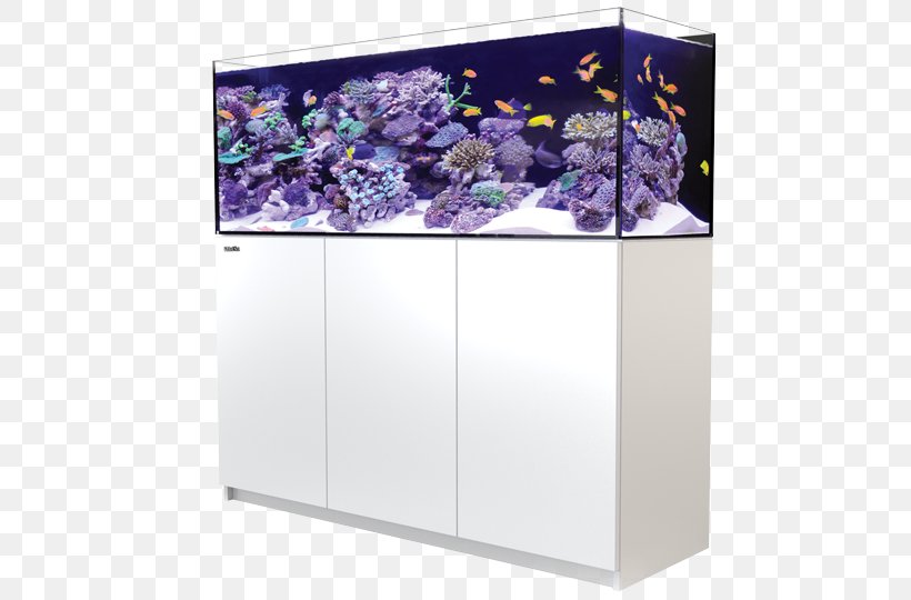 Red Sea Reefer 350 Aquariums Reef Aquarium Red Sea Reefer 170, PNG, 800x540px, Red Sea Reefer 350, Aquarium, Aquariums, Glass, Liter Download Free